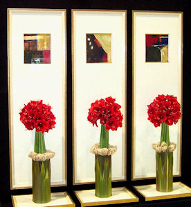 Tall frames web site